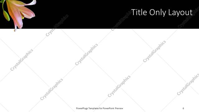 Title Only presentation slide layout