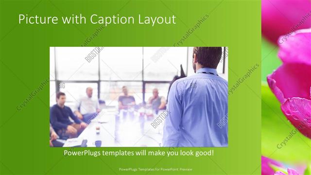 Picture with Caption presentation slide layout