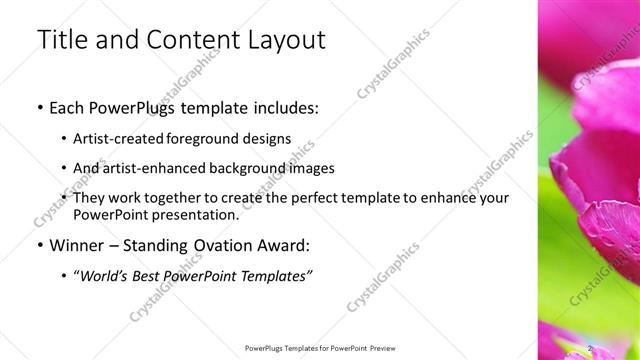 Title and Content presentation slide layout