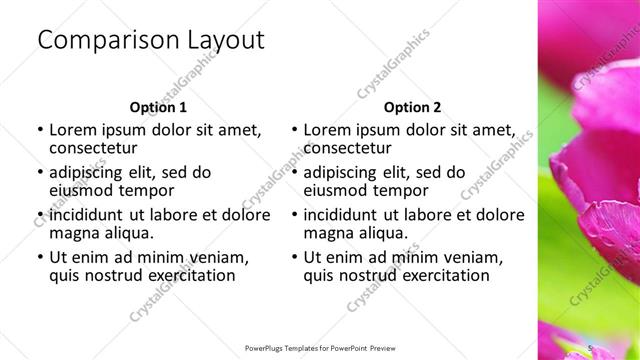 Comparison presentation slide layout