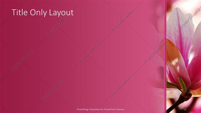 Title Only presentation slide layout