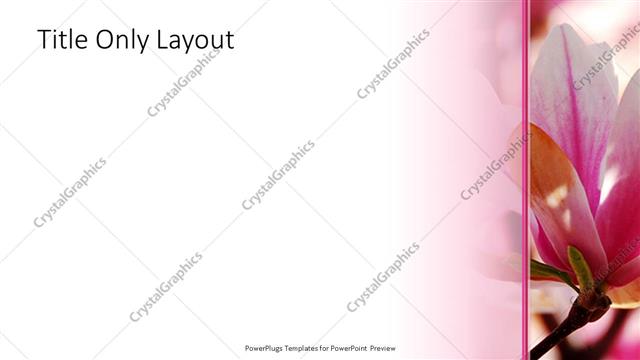 Title Only presentation slide layout