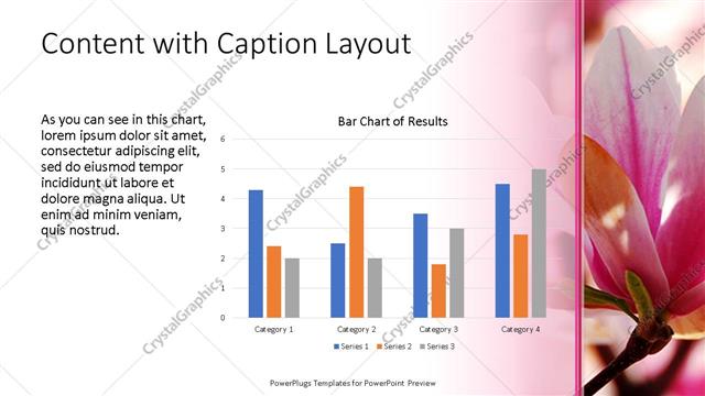 Content with Caption presentation slide layout