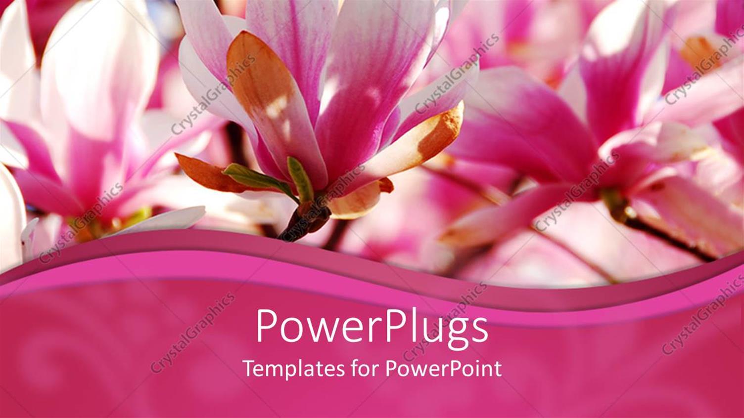 Premium Template for PowerPoint & Google Slides 