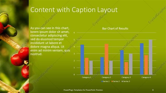 Content with Caption presentation slide layout