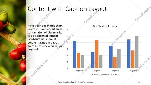 Content with Caption presentation slide layout
