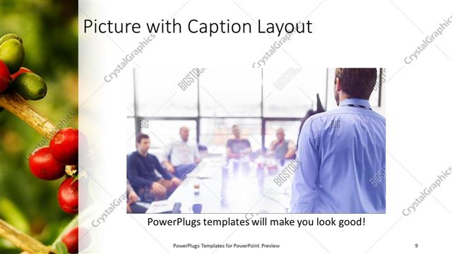 Picture with Caption presentation slide layout