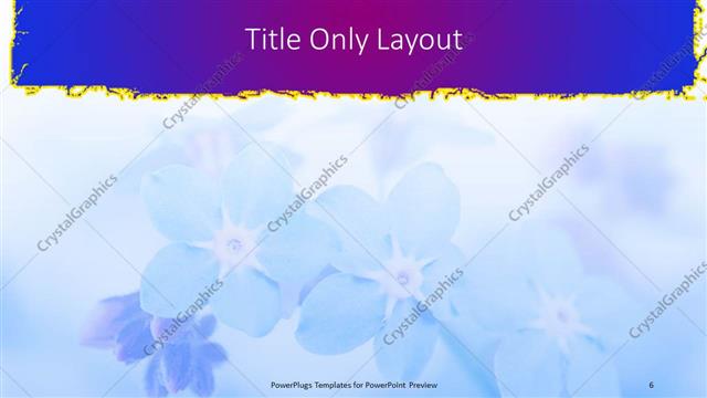 Title Only presentation slide layout