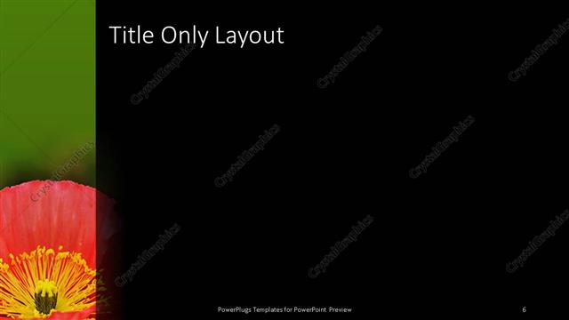 Title Only presentation slide layout