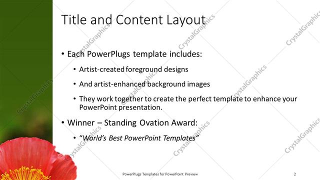 Title and Content presentation slide layout