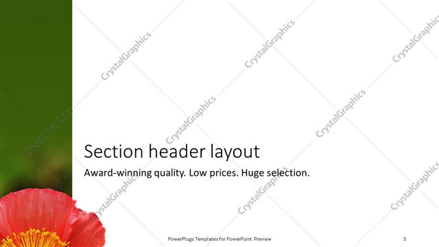 Section Header presentation slide layout
