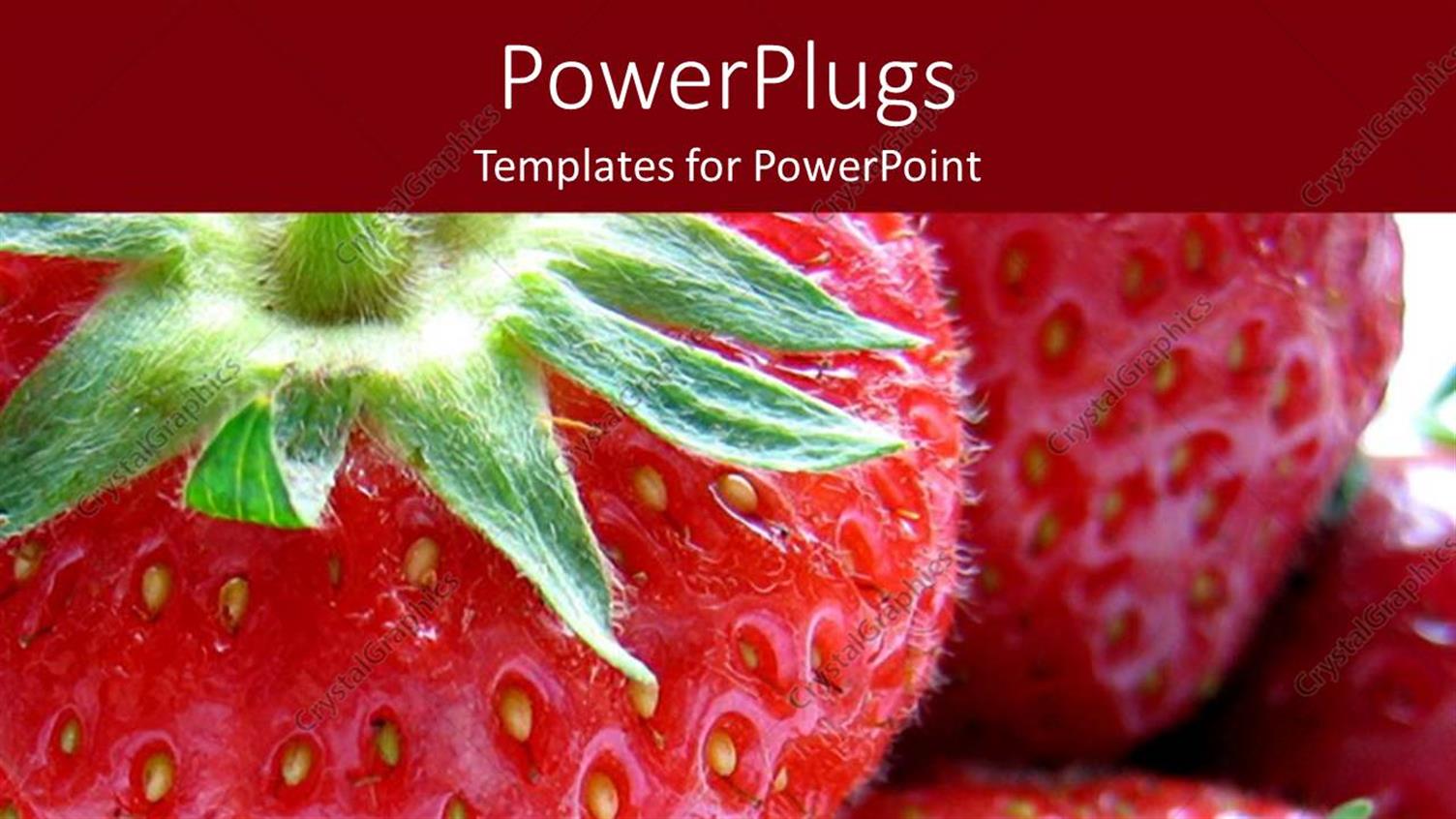 Premium Template for PowerPoint & Google Slides 