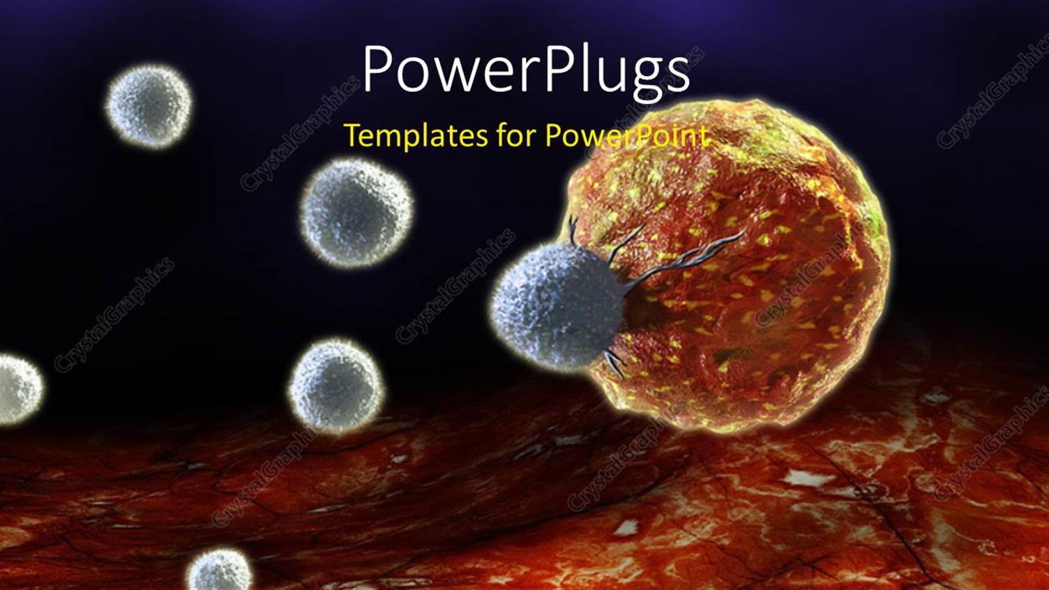 Premium Template for PowerPoint & Google Slides 