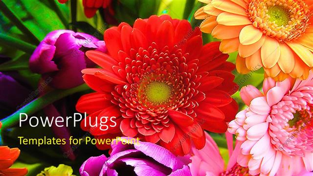  Presentation with flowers - A number of colorful flowers with place for text