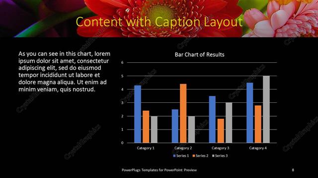 Content with Caption presentation slide layout