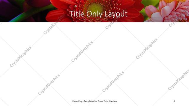 Title Only presentation slide layout