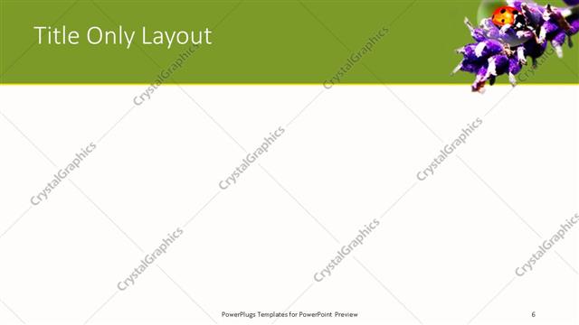 Title Only presentation slide layout