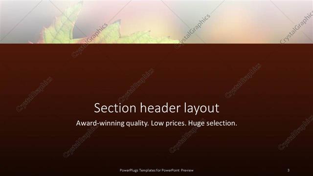 Section Header presentation slide layout