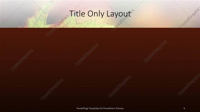 Title Only presentation slide layout