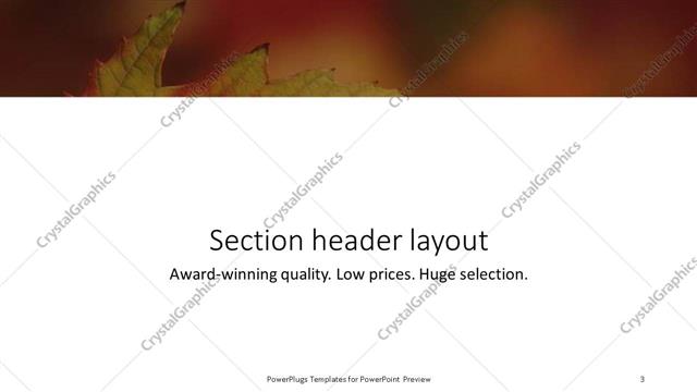 Section Header presentation slide layout