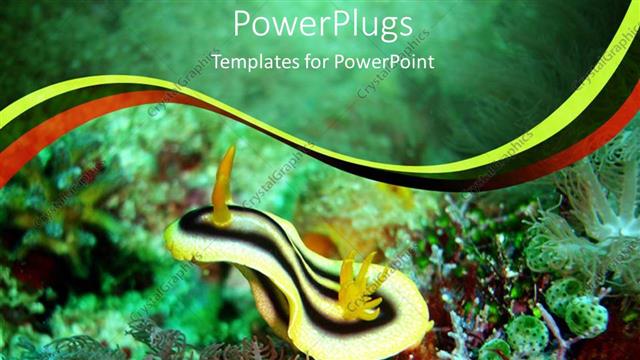  Presentation with plants - Close up shot of the of plants inside a sea