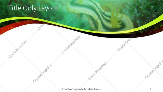 Title Only presentation slide layout