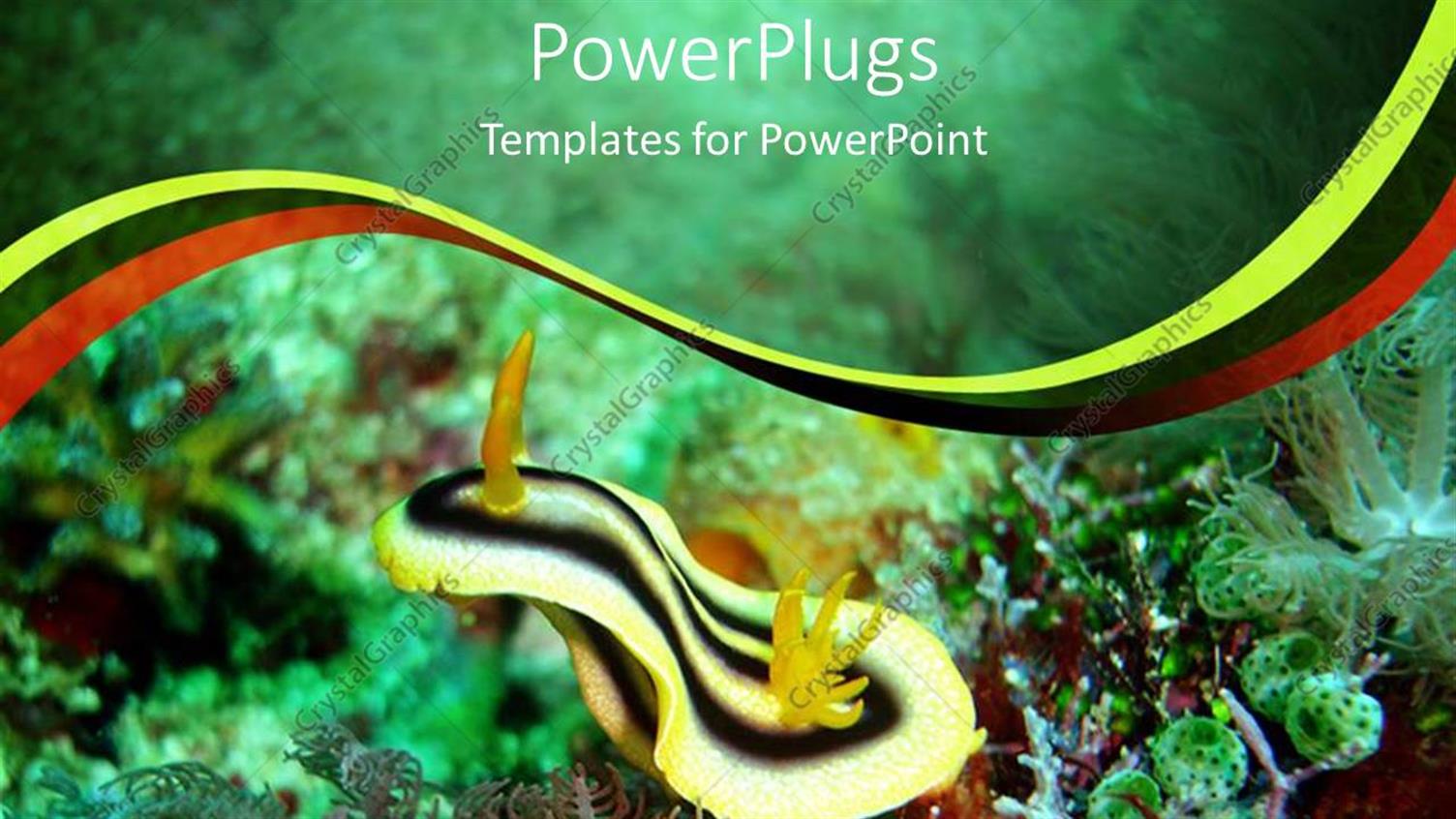 Featuring Close Up Shot of the of Plants Inside a Sea