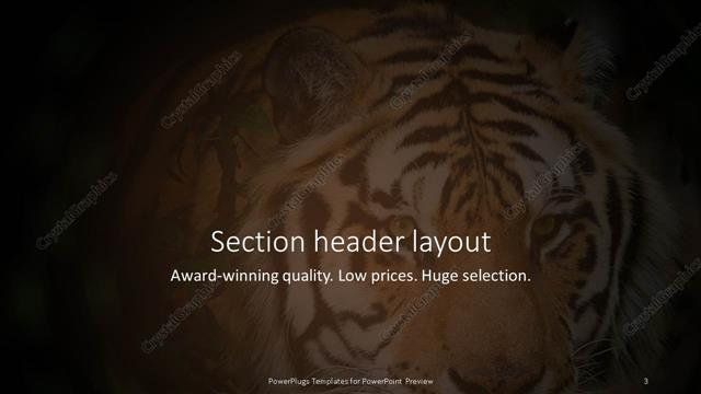 Section Header presentation slide layout