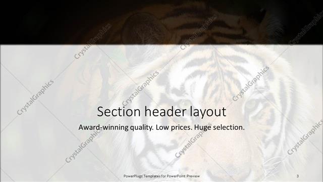 Section Header presentation slide layout