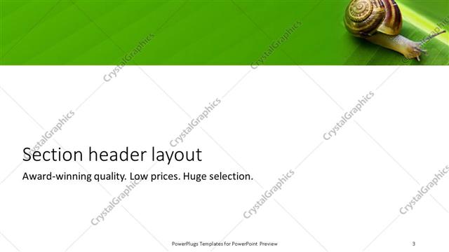Section Header presentation slide layout