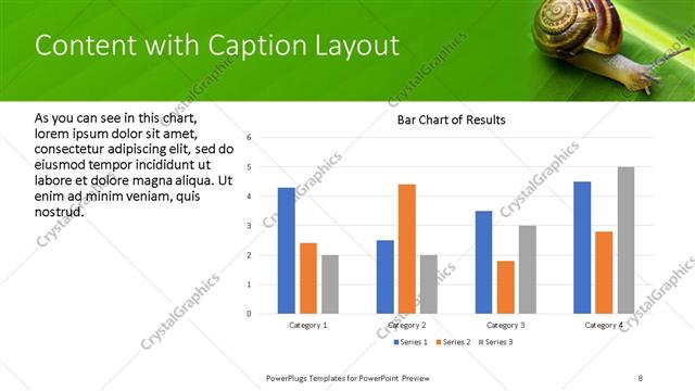Content with Caption presentation slide layout