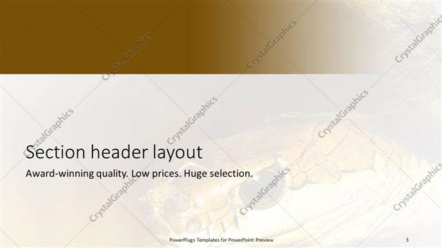 Section Header presentation slide layout
