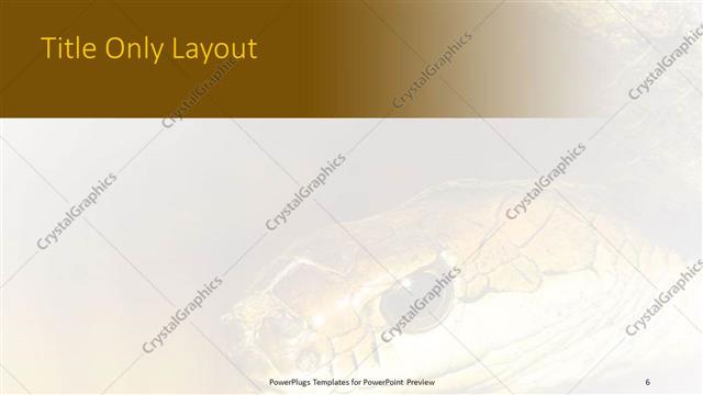 Title Only presentation slide layout