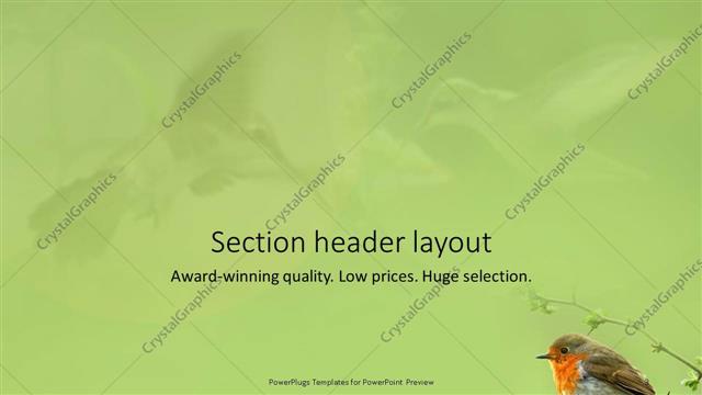 Section Header presentation slide layout