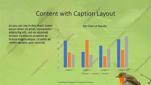 Content with Caption presentation slide layout