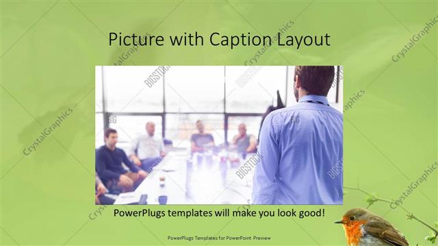 Picture with Caption presentation slide layout