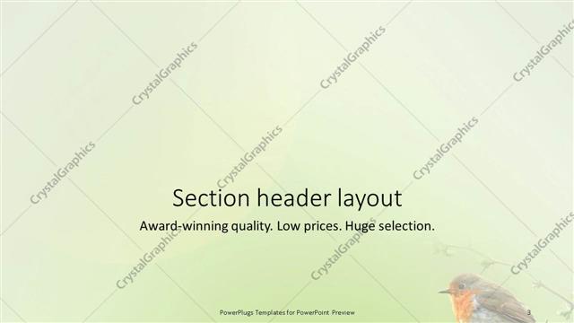 Section Header presentation slide layout