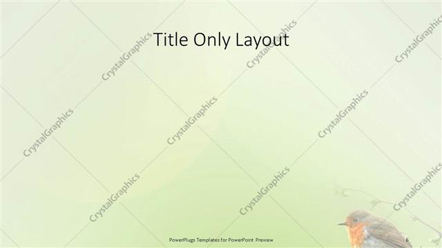 Title Only presentation slide layout
