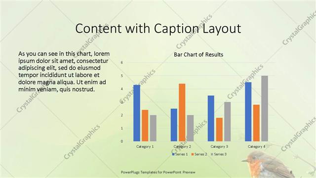 Content with Caption presentation slide layout