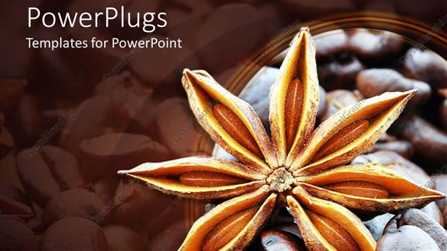  Presentation with dark flower - Close up of star anise flower with dark roast coffee beans