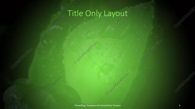 Title Only presentation slide layout