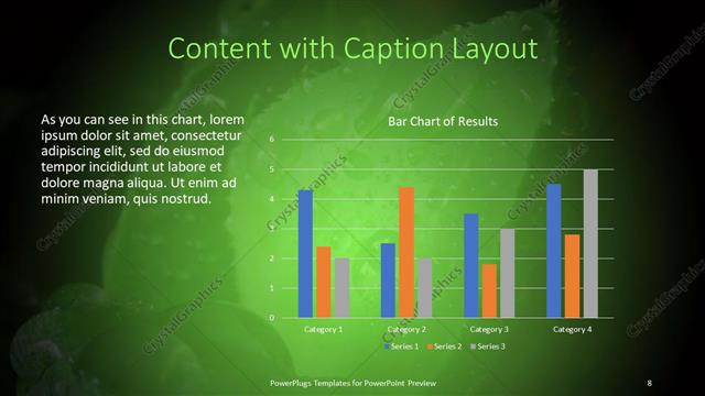 Content with Caption presentation slide layout