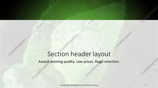 Section Header presentation slide layout