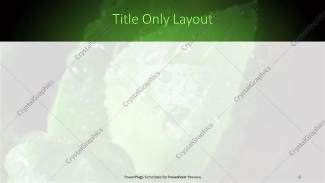 Title Only presentation slide layout