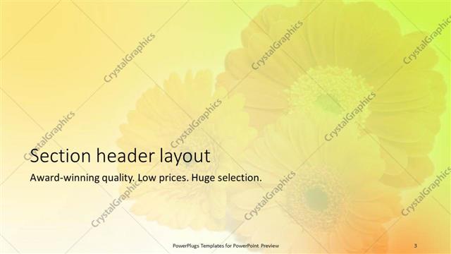 Section Header presentation slide layout