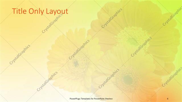 Title Only presentation slide layout