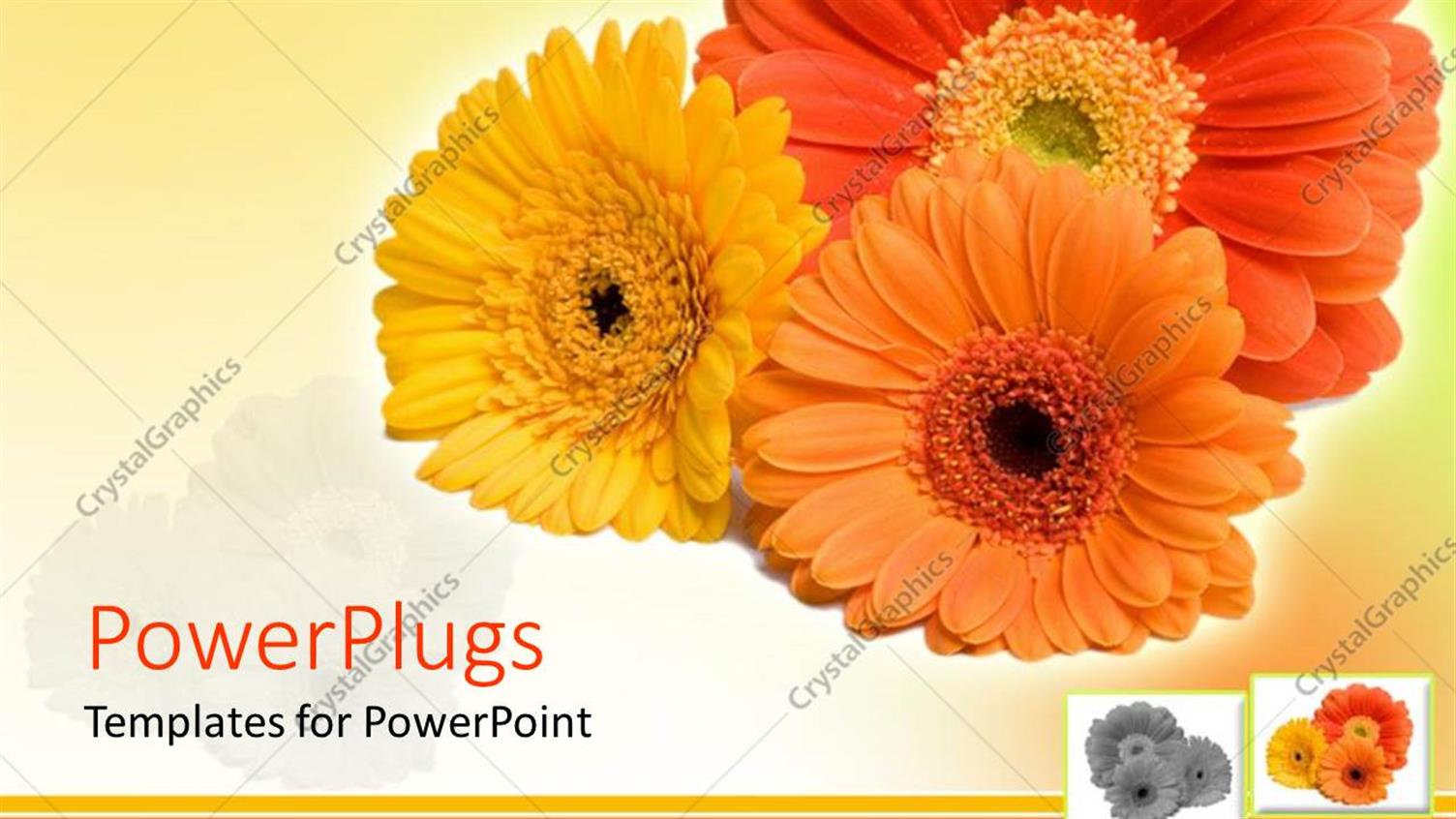 Premium Template for PowerPoint & Google Slides 