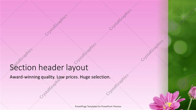 Section Header presentation slide layout