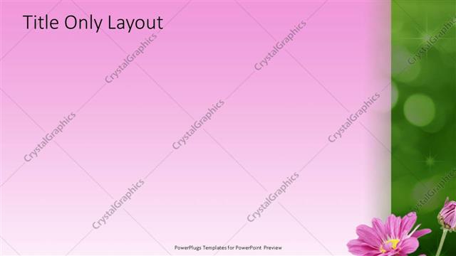 Title Only presentation slide layout