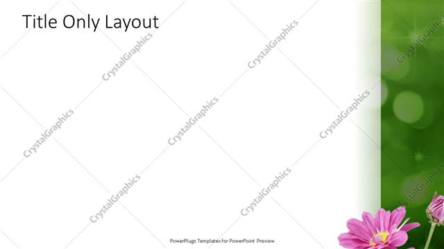 Title Only presentation slide layout